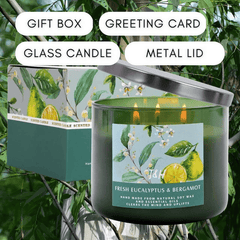 Fresh Eucalyptus Bergamot Candle 3 Wick | Natural Soy Wax Candle for Home, 15.8 Oz Large Aromatherapy Candle for Relaxation, Scented Candle for Women and Men, Luxury Candle Gift for Him and Her